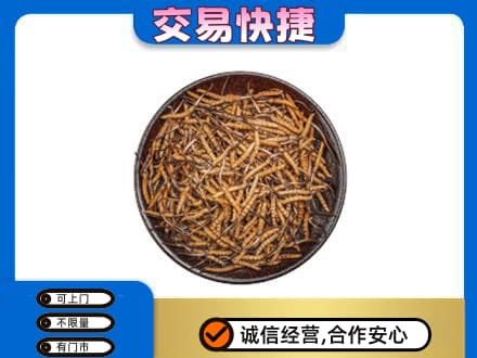 淮安市高价回收散虫草